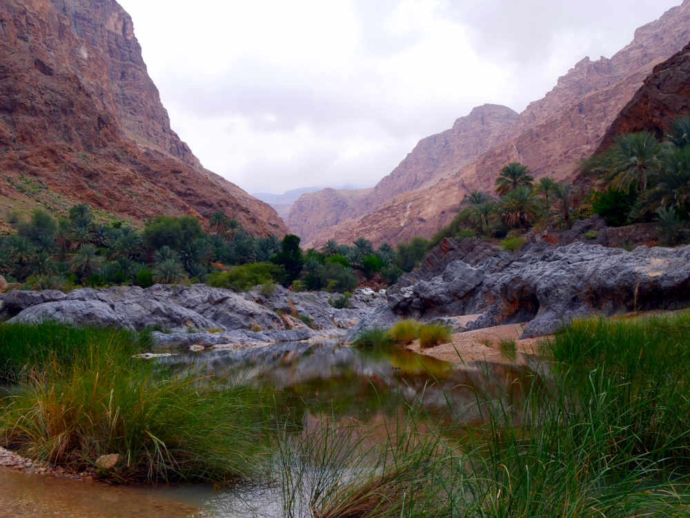 Wadi al Arbiyyin