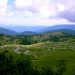 Velika Planina